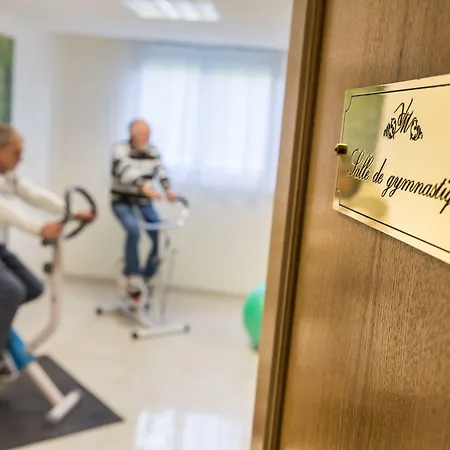 Medicis Hotell Puteaux